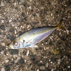 前回よりは良き