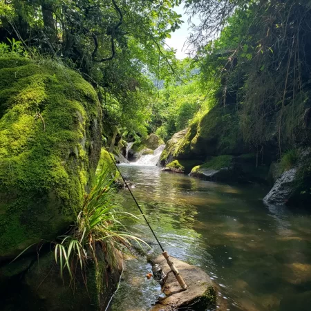 リベンジならず