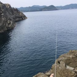 またガシラです。