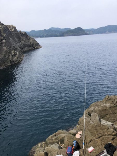 またガシラです。