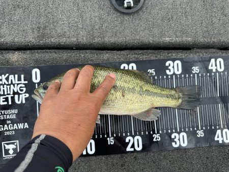 ヤミーで36センチ