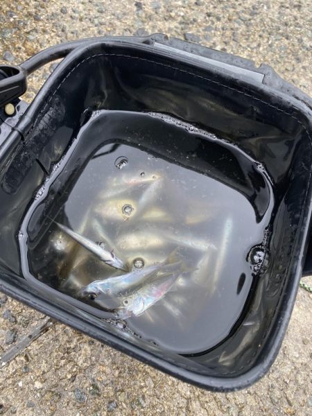 ドーピングおじさん