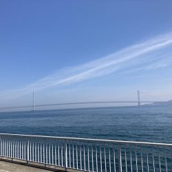 グレ狙い＆ファミリーフィッシング