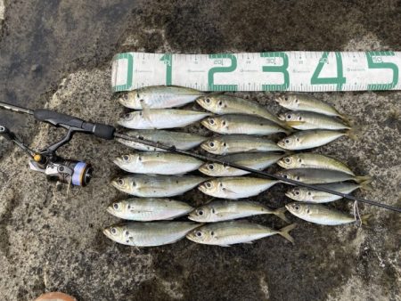 2023 佐渡ヶ島 ライトゲーム 6月21…