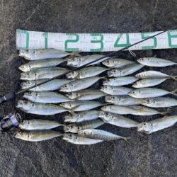 2023 佐渡ヶ島 ライトゲーム 6月24日