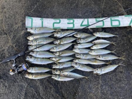 2023 佐渡ヶ島 ライトゲーム 6月24…