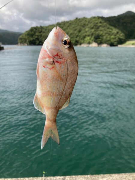 紀州釣り