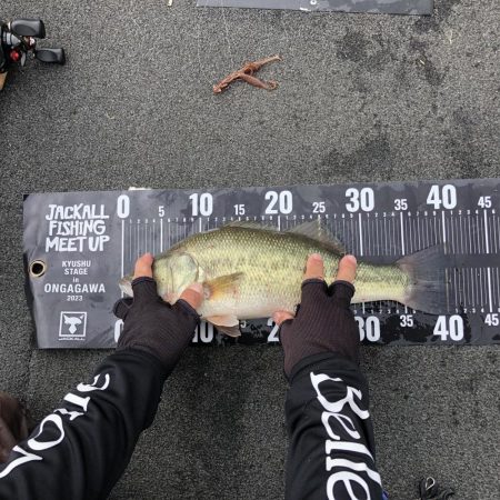 ジミーシュリンプふぃ〜しゅ！