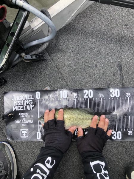 最後もヤミー！