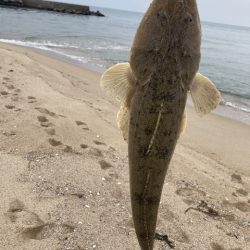 サーフフィッシング