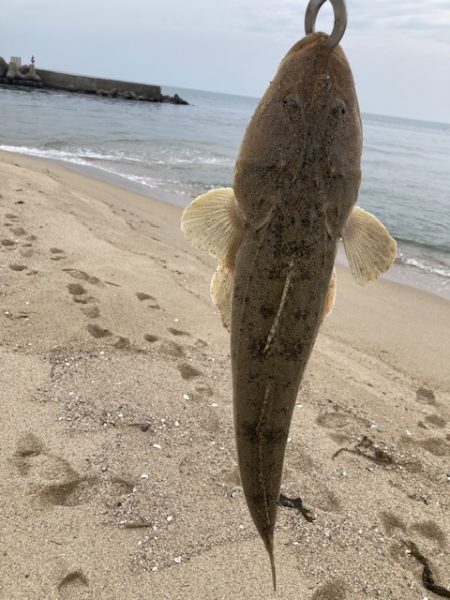 サーフフィッシング