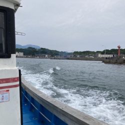 白イカ&アジ釣り