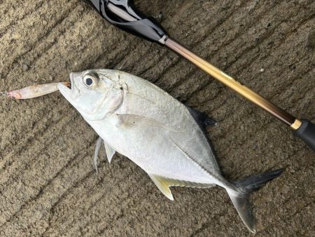 マイクロガシラとアナハゼとでかメッキ