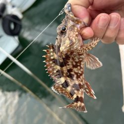 ガッシーは裏切らない！