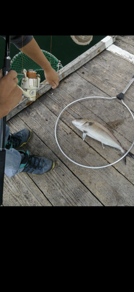 ★★のんびり大物釣り★★