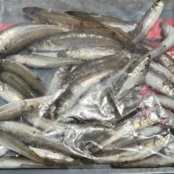 昨日の反省点を活かしました!!