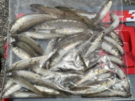 昨日の反省点を活かしました！！