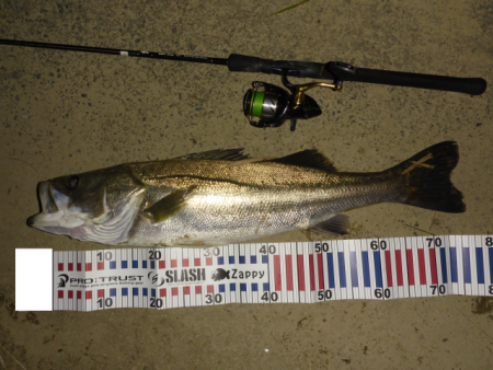 静けさの中での、まさかのHit！