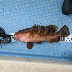 飲ませ最高(サウス)