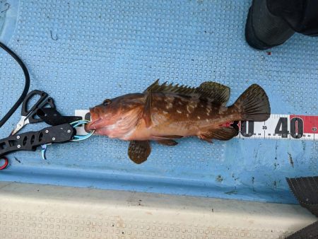 飲ませ最高(サウス)