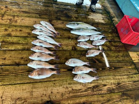 あなたに逢い鯛釣り堀