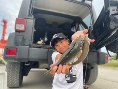 デイアジング🎣Ǵ…