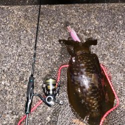 もう一度味わいたい