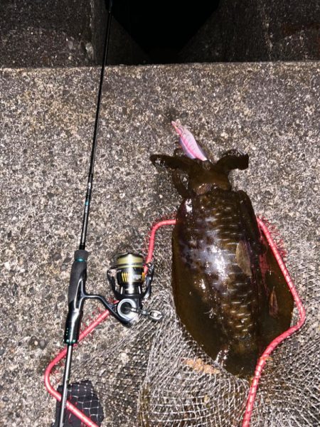 もう一度味わいたい