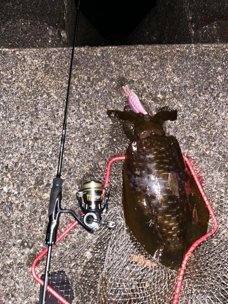 もう一度味わいたい