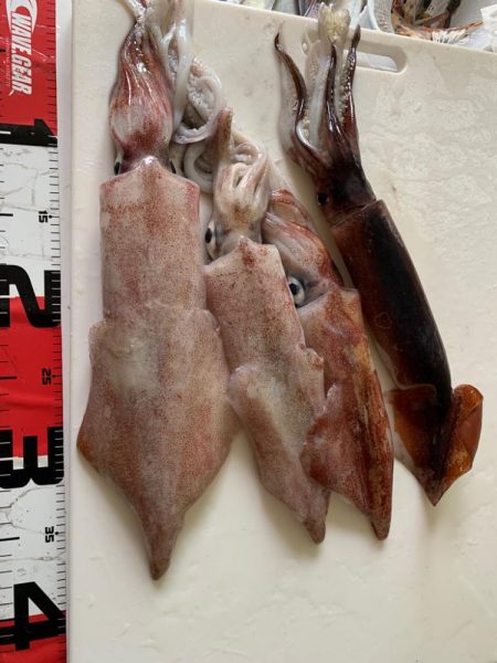 日本海半夜イカ&アジ