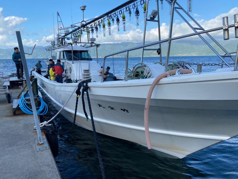 日本海でケンサキイカ