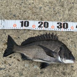 難攻不落の・・・