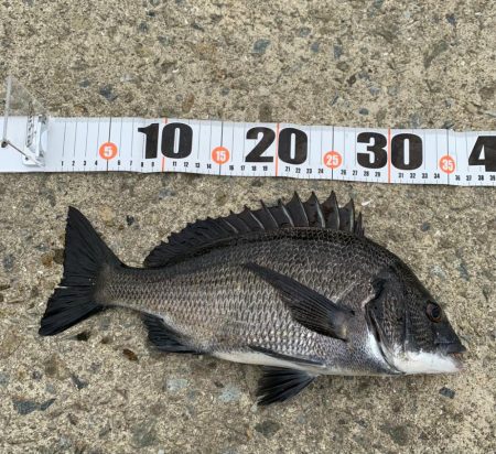 難攻不落の・・・