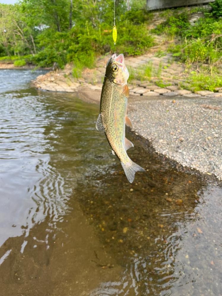 超々短時間への挑戦