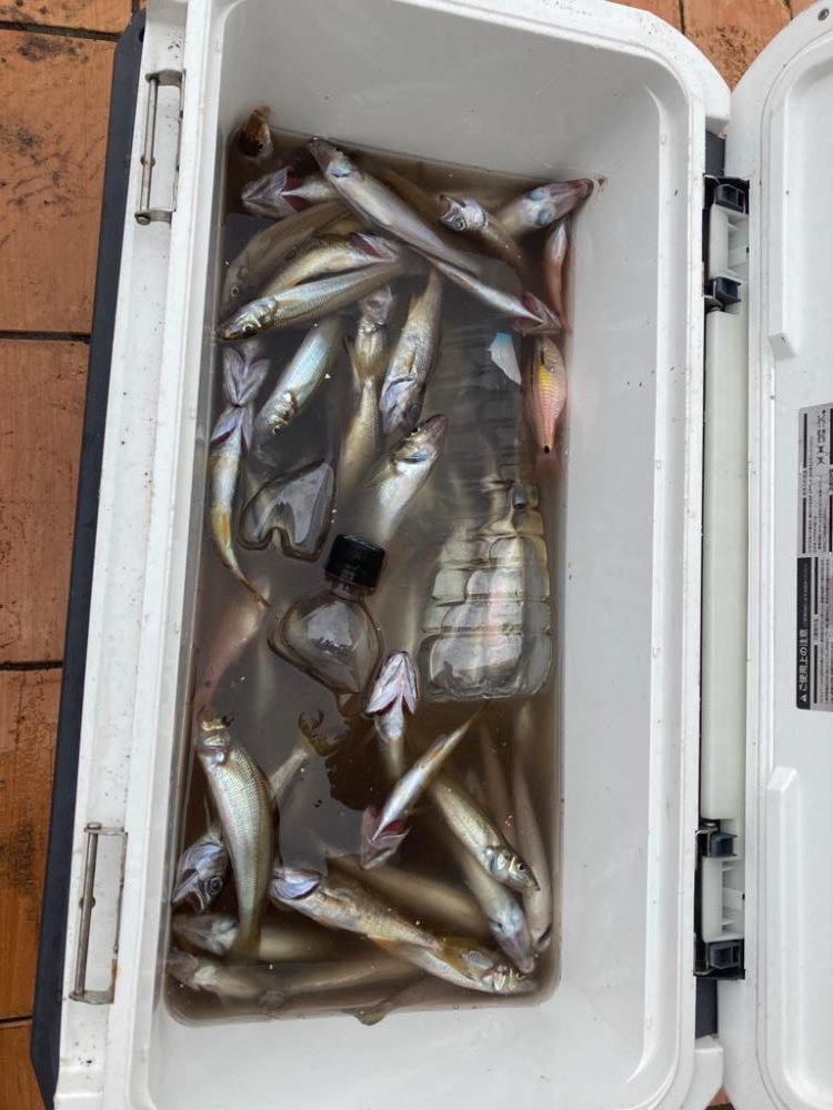 子供とボート釣り