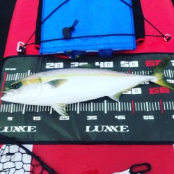 なんとか2連勝！