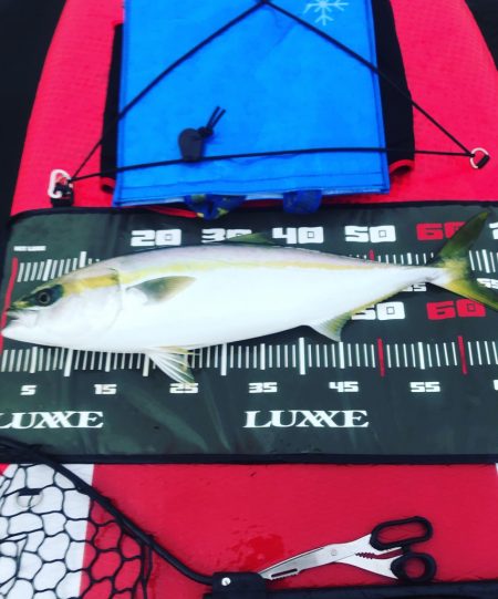 なんとか2連勝！