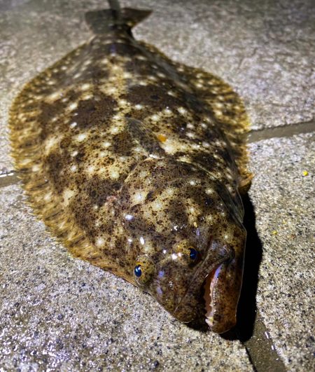 ガシラパターン