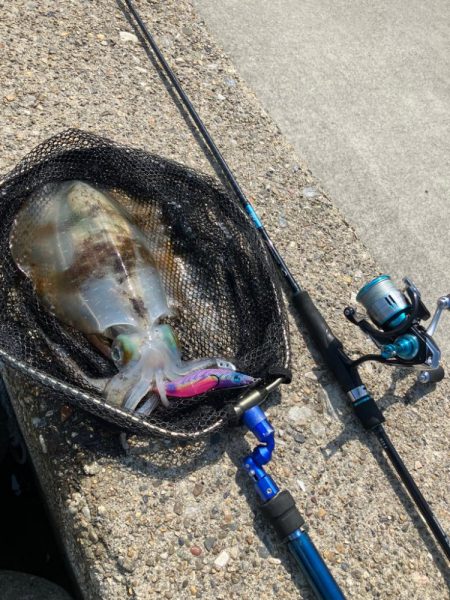 短時間でアオリ2杯GET *\(^o^)/…