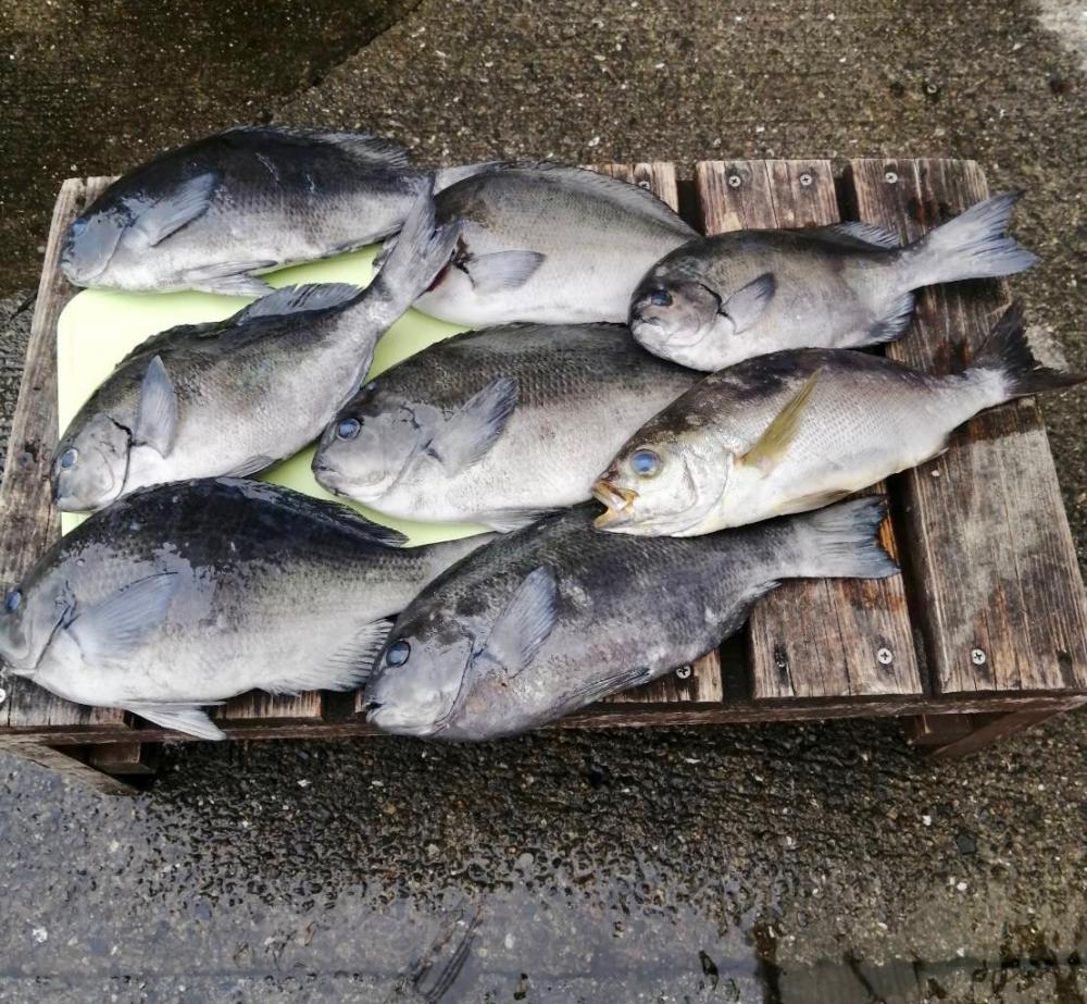 梅雨の晴れ間に…