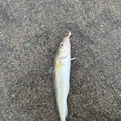 超短時間の挑戦、海