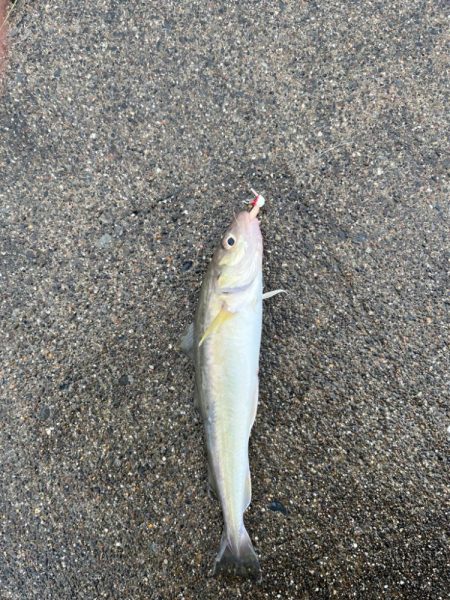 超短時間の挑戦、海