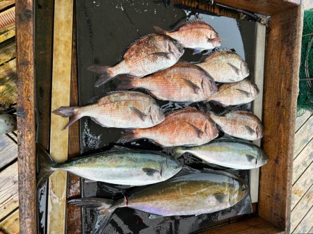 海上釣り堀　海恵