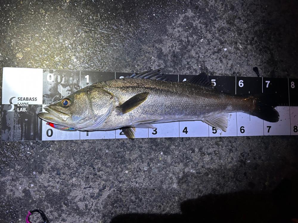 またまたやっちゃいました！！