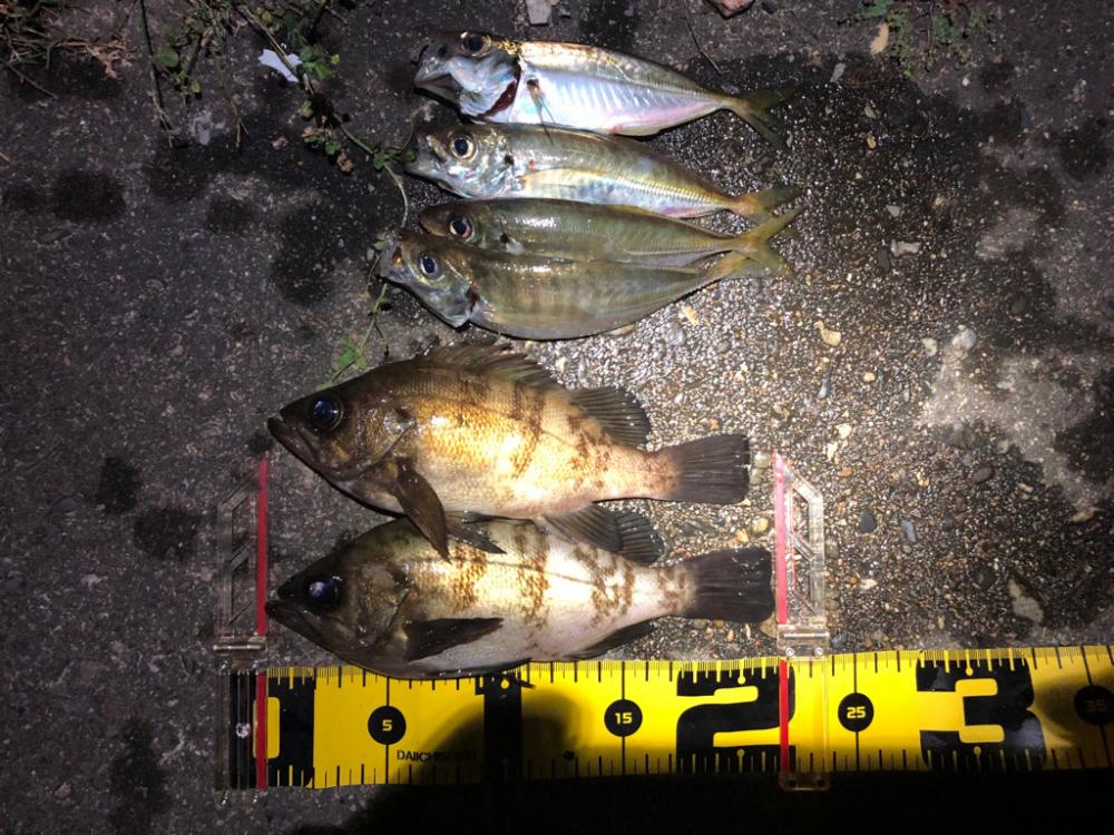 メバル&アジの一夜干し