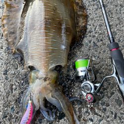 ワンチャンありました