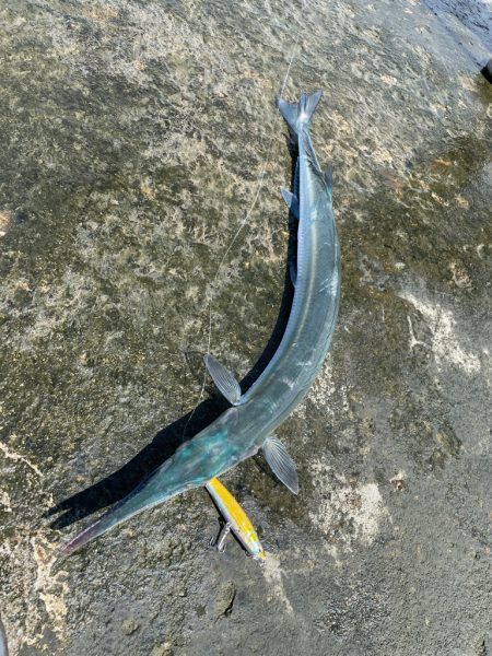 初オキサヨリ？