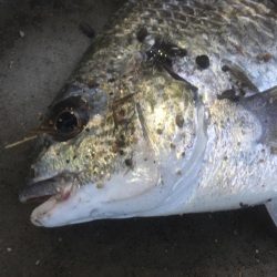 増水＋満潮=潮位高