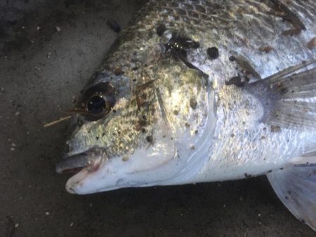 増水＋満潮=潮位高