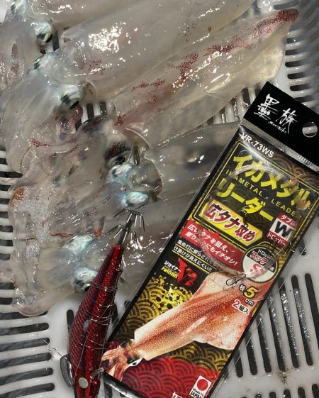 和歌山イカメタル☆